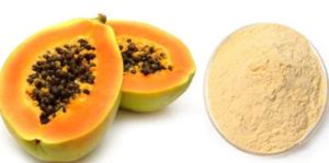 dried papaya powder