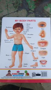 parts of body chart