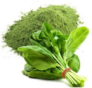 Spinach Powder