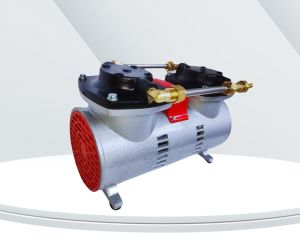 Oil Free Diaphragm Vacuum Pump, Model No TI - 75 P