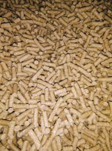 Dairy Cattle Feed