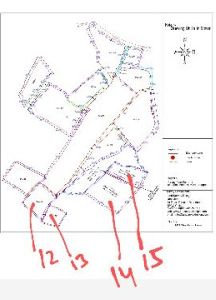 Topographic Survey