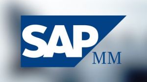 sap mm training