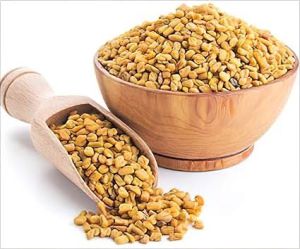 Fenugreek Seed