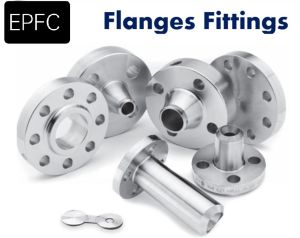 Stainless Steel Flanges