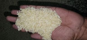 1509 Steam Basmati Rice