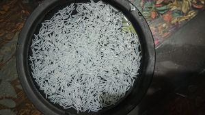 sharbati steamed rice