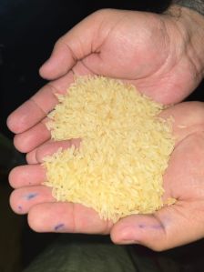 Parboiled IR64 Rice