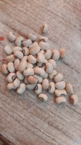 Cowpea Seeds