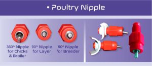 Poultry Layer Nipple