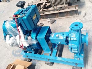 Non Clog Slurry Pump