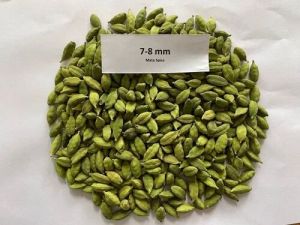 7 -8 mm Green Cardamom