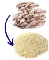 Mushroom Powder