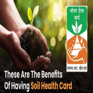 Soil Healthcard Project Services