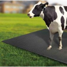 rubber cow mat