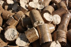 Biomass Briquette