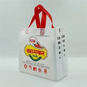 non woven loop handle bag