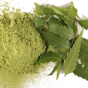 Natural Neem Leaf Powder