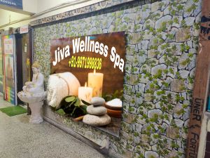 ayurvedic spa wellness services