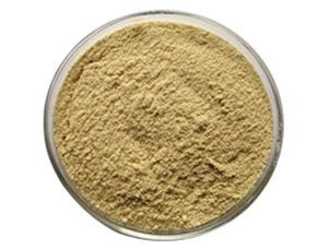 Brown Seaweed Extract Fucoidan