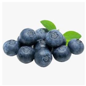 Fresh Organic Blueberry