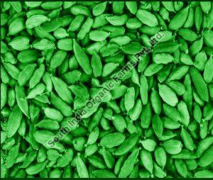 8 - 8.5 mm Green Cardamom