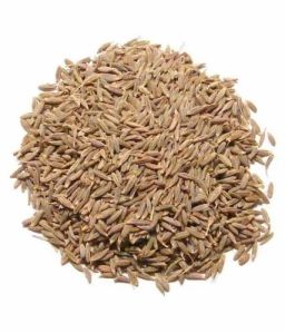 Cumin Seeds