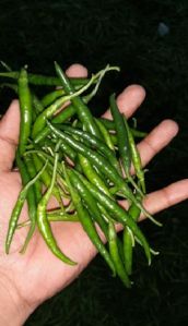 Green Chilli