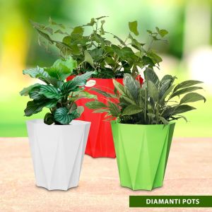 Diamanti Plastic Pot