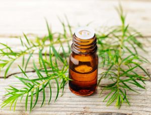 Tea Tree Oil