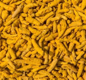 Turmeric Finger