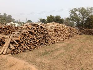 Round Firewood