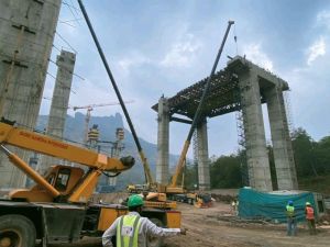 Bridge Construction