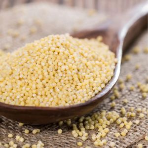 Browntop Millet