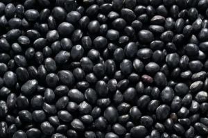 Black Turtle Kidney Beans