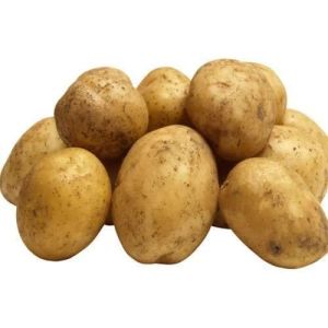 Fresh Pukhraj Potato