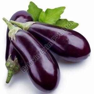 Fresh Brinjal