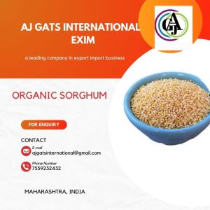 Organic Sorghum