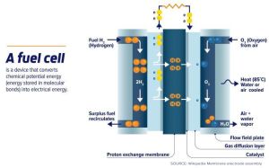 Hydrogen Fuel Cells