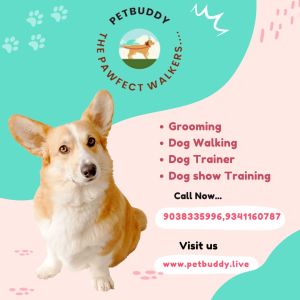 Dog walking service