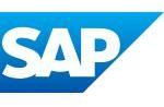 sap consultants service