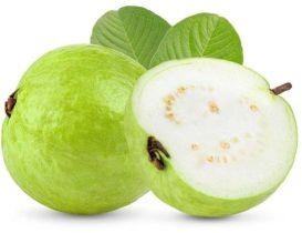 Indian Guava