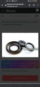 Oil Seal