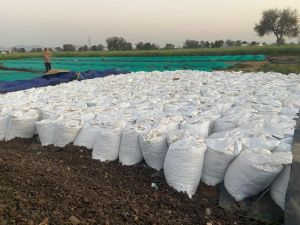 Organic Fertilizer