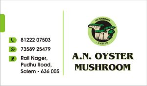 Oyster Mushroom