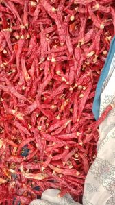 Dry Red Chilli