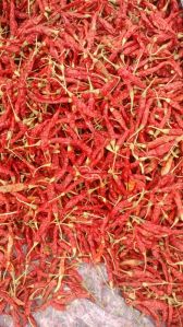 Teja Red Chilli