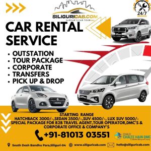 Passenger Car Rentals