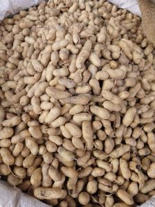 Hole groundnut