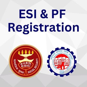 ESI and PF Registration Service